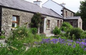 Photo of Pollán Rua