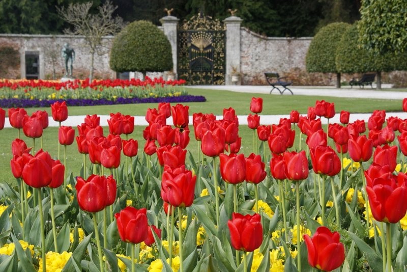 Alex Slazengers Guide Powerscourt Gardens