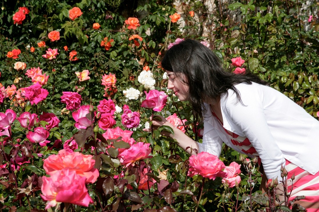 Alex Slazengers Guide Powerscourt Gardens