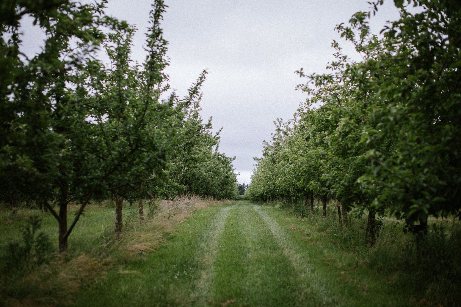 Longueville: Is this ireland's Dreamiest Wedding Venue?