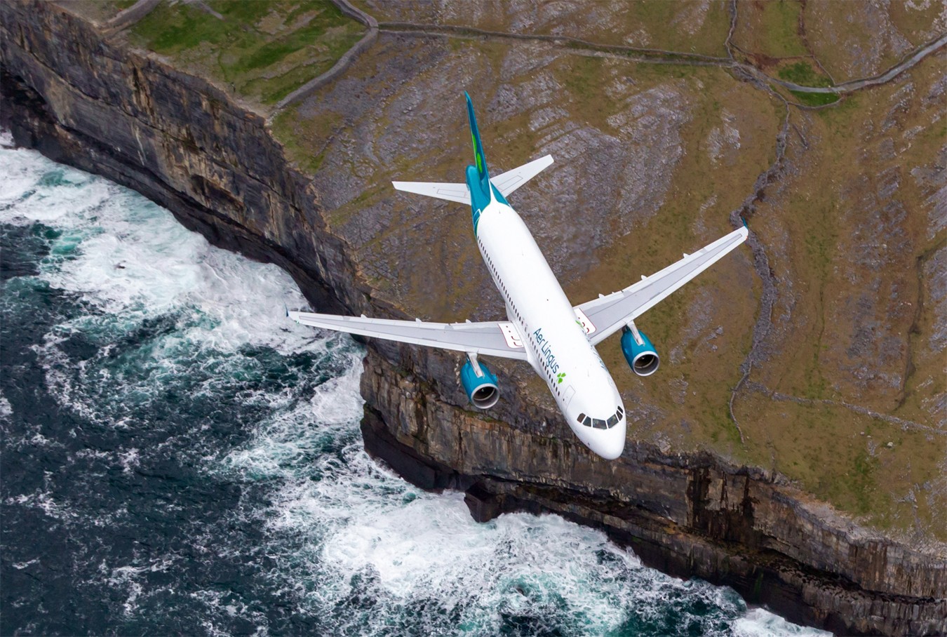 Aer Lingus: The Girl with the Shamrock Tattoo