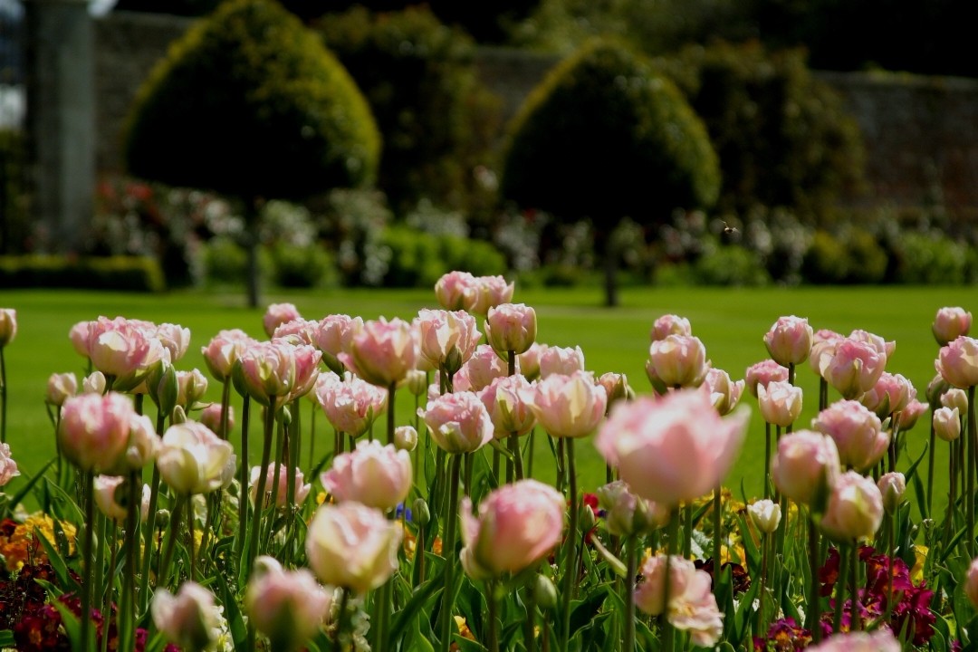 Alex Slazengers Guide Powerscourt Gardens