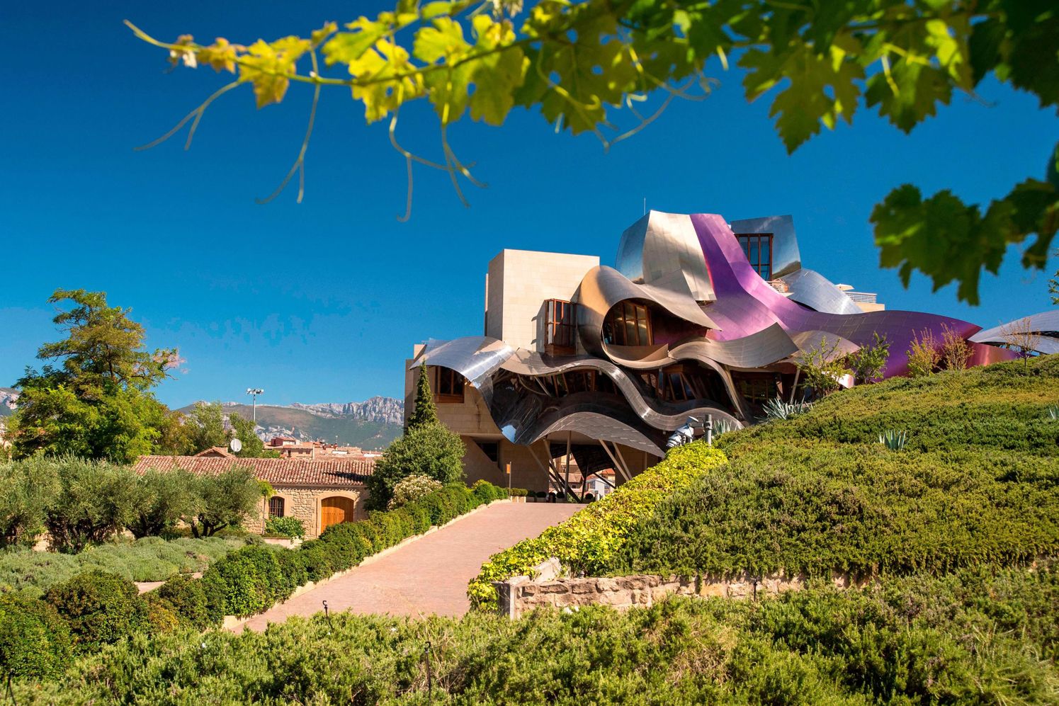 Marqués de Riscal Vineyard Hotel