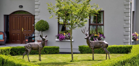 Wexford Luxury Manor