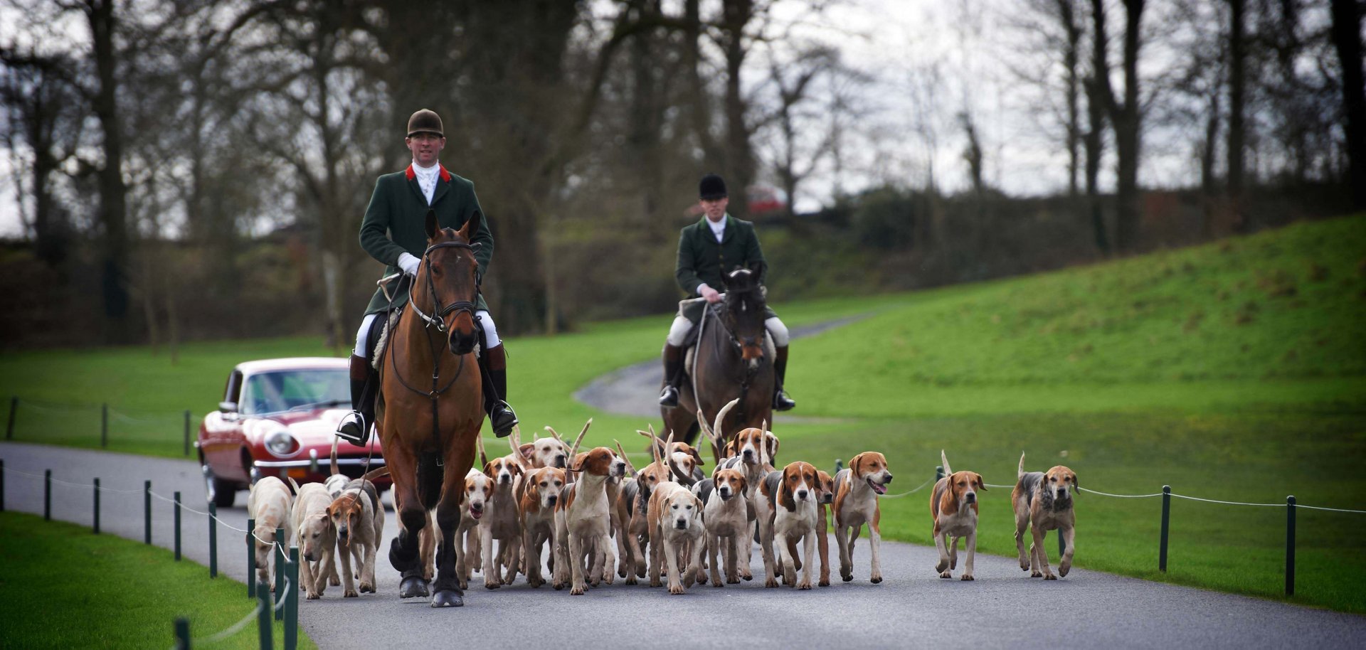 Dromoland Castle | 5-Star Hotel Newmarket-on-Fergus - Fivestar.ie