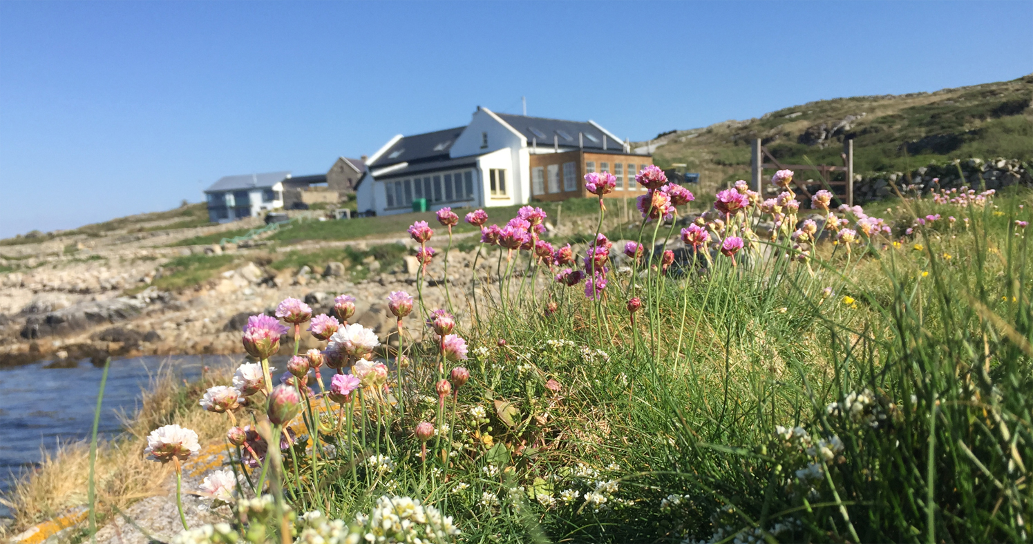 Cashel Bay Cottage & Beach