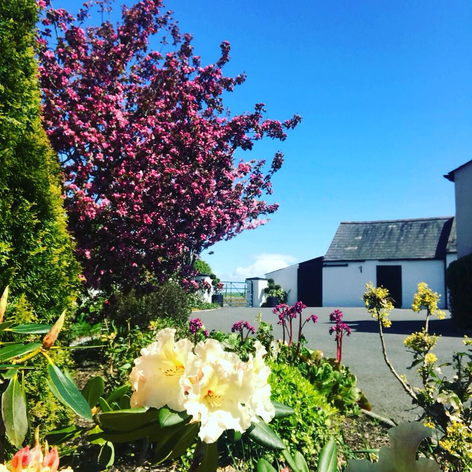 Cavan House 5Star SelfCatering Newry Fivestar.ie